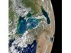 Изумруденият цъфтеж убива Черно море