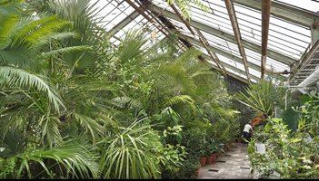 В Ботаническата градина на БАН има растения столетници, оцелели през двете световни войни