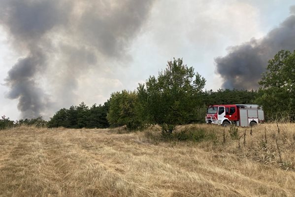 Пожарът край село Отец Паисиево.