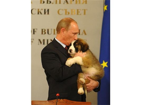 Путин се зарадва на подаръка от Бойко, прегърна кученцето и го разцелува. 
СНИМКА: “24 ЧАСА”