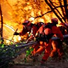 Заради силни и излизащи извън контрол пожари е обявено бедствено положение СНИМКА: Архив