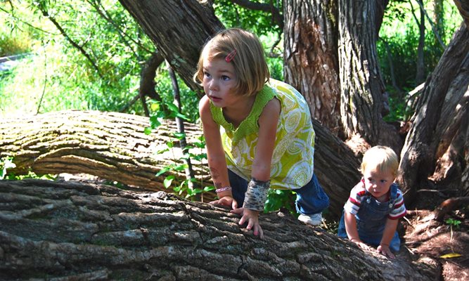 Педагози се надяват децата до 5 годинки да започнат да се катерят по дърветата и да загърбят таблетите.