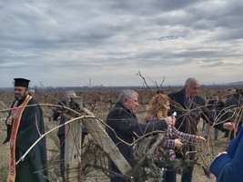 Вицепремиерът Марияна Николова и Здравко Димитров зарязаха лозята в Брестник. Снимки: Авторът