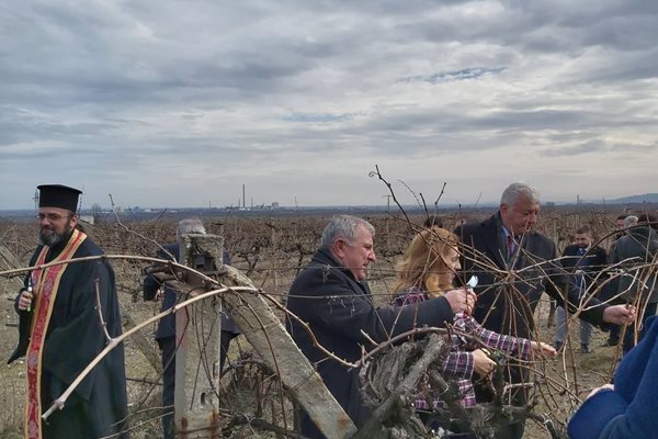 Вицепремиерът Марияна Николова и Здравко Димитров зарязаха лозята в Брестник. Снимки: Авторът