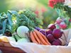 Цените на плодовете и зеленчуците остават сезонно ниски