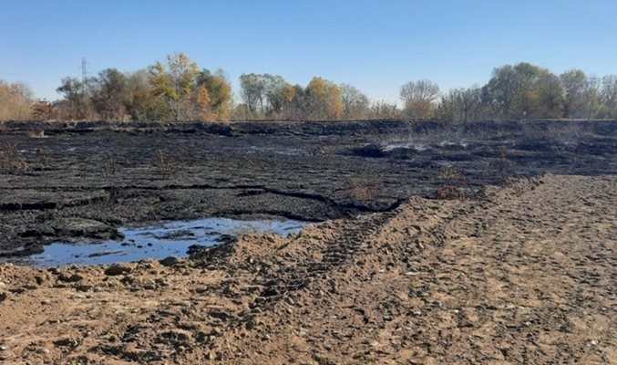 Депото за утайки, което собственик на свинарник запали неволно, тлееше 17 дни.