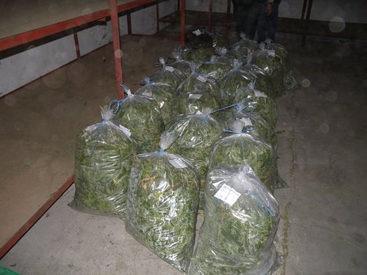Близо 300 000 евро е стойността на откритите в камиона на Рончев 28 кг марихуана