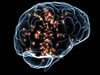 Лабораторно отгледани невронни мрежи могат да лекуват мозъчни заболявания