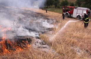 Пожар изпепели 850 дка с пшеница във Видинско, спасиха от огъня 1800 дка