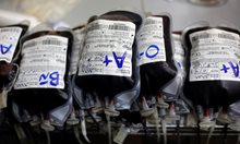 Системна грешка с кръвта: не казват на дарителите, ако са с опасни заболявания