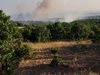 Потушиха окончателно пожара край Калояново