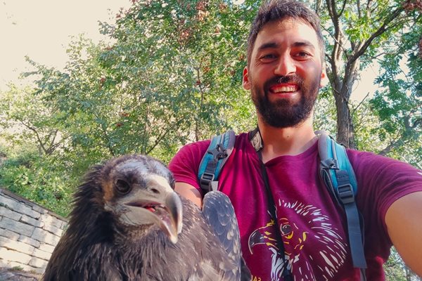 Акция за спасяване на млад египетски лешояд край Мадарския конник. СНИМКИ: Българско дружество за защита на птиците