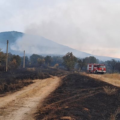 Пожарна кола в действие.