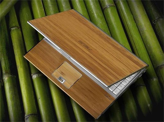 Сред новостите в компютърния дизайн са бамбуковите повърхности. В Япония те доста се харесват.
СНИМКИ: АРХИВ
