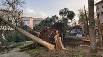 Враца е в бедствено положение след ураганния вятър (Снимки)