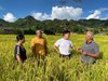 Иновативното отглеждане на ориз отбелязва изключителна реколта в Югозападен Китай