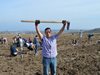 Столичната община в партньорство с Гората.бг раздаде 55 000 дръвчета