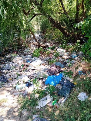 Битови отпадъци са изхвърлени край язовира