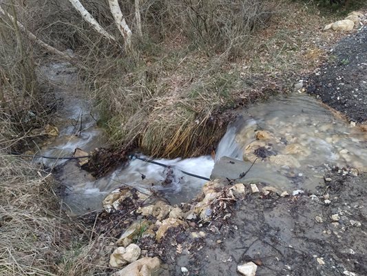 Ручейче пресичаше пътя на семейството в местността край Кукленския манастир