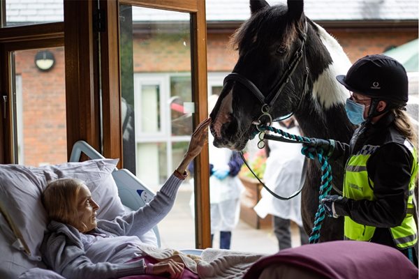 Ян се сбогува с коня си
Снимки: Hospice of the Good Shepherd