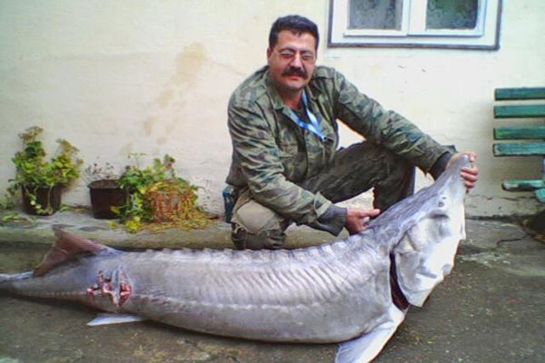 Рибарят Светослав Лозанов от Видин: Хващам чудовищата на Дунав!