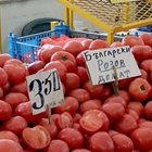 Първите български розови домати ще се появят по Великден, но още не е ясно на каква цена ще са те, макар производителите да очакват да са на около 4 лв.