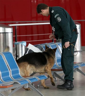 Полицейско куче в действие.
Снимка: Архив