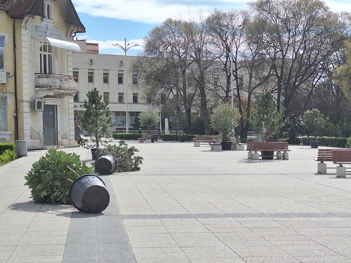 Новата зеленина до Централна поща в Пловдив не устоя на силния вятър