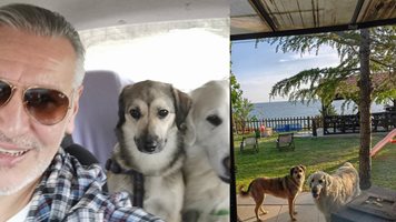 Борис Панкин заведе кучетата си на море по Великден