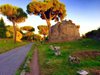 Царят на пътищата стана 60-ият италиански паметник под закрилата на ЮНЕСКО