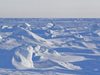 Северният ледовит океан се превръща в сметище за пластмасови отпадъци