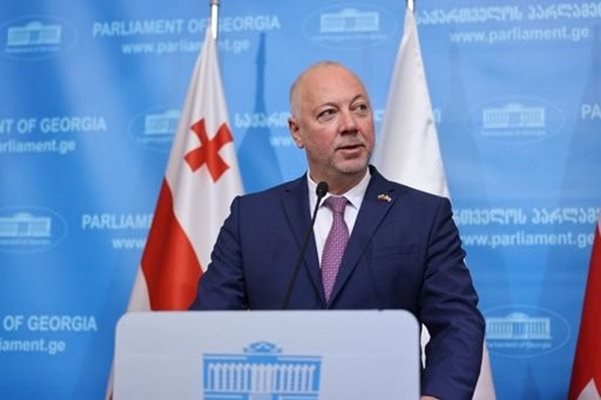 Росен Желязков в грузинския парламент