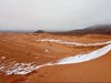 Пустинята Сахара расте заради климатичните промени