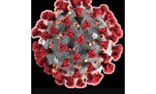 Лесни мишени на вируса са възрастни над 60 г., мъже, пушачи, с високо кръвно, диабет или рак (Обзор)