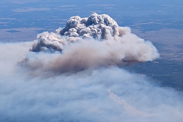 Пожарът Оук файър в Калифорния е един от най-големите за годината. Той започна близо до националния парк “Йосемити”, известен с гигантските си секвои.
СНИМКА: РОЙТЕРС
