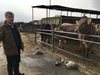 Производители на мляко и месо плашат с блокада като гръцката
