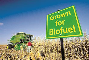 В бъдеще има вероятност голяма част от зърнената реколта да се преработва за биогориво и земеделците да открият нова пазарна ниша за реализация