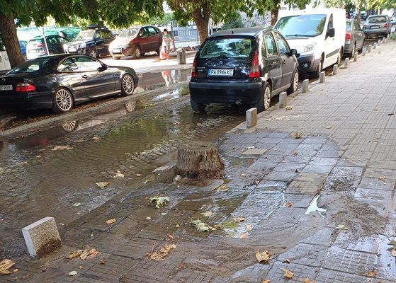 В пълноводна река се е превърнала улица "Стоян Михайловски" с пресечката на "Иван Драсов" в пловдивския район "Северен". Снимки и видео: ФБ