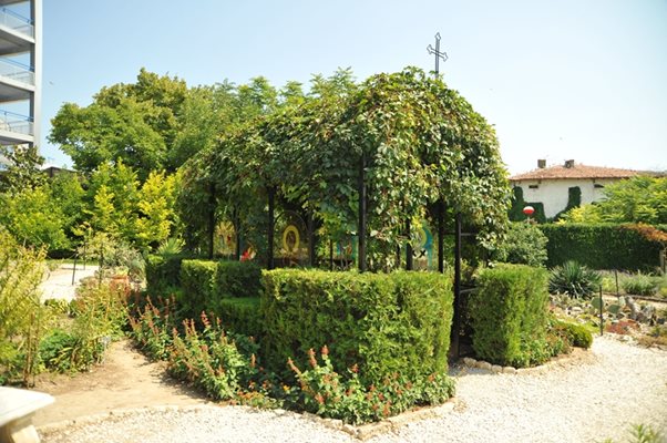 В градина “Разсадника” има и стъклен параклис, направен преди 3-4 г. и изцяло покрит със зеленина.