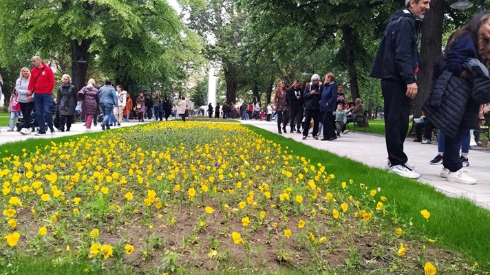 Местят в неделя детския празник за обновената Градска градина в Пловдив