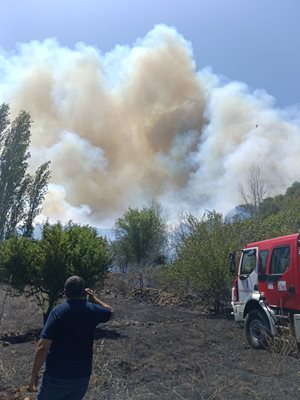 Горски пожар в обхвата на Държавно горско стопанство Струмяни вдигна на крак служителите на Югозападното държавно предприятие.