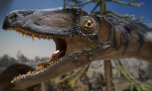 Китайски и корейски учени откриха следи от най-малкия известен динозавър