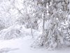 Продължителни снеговалежи в цялата страна днес, спокойно в неделя (Oбзор)