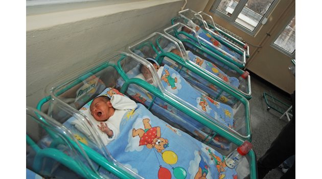 През 2023 г. броят на новородените у нас за първи път е по-малко от 50 хиляди бебета. Според данни на Индекса на болниците точното число е 49 610. 

СНИМКА: РУМЯНА ТОНЕВА