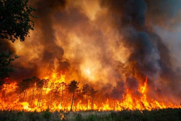 Горящи дървета на фона на пожар в Ландирас, който продължава да се разпростира в района на Жиронда, Югозападна Франция.