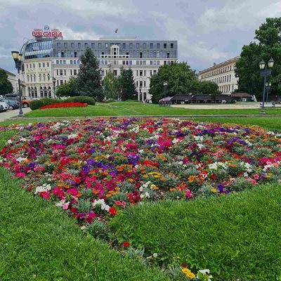 Цветя и красиви цветни  фигури радват  столичани и гостите на града в Градската градина.