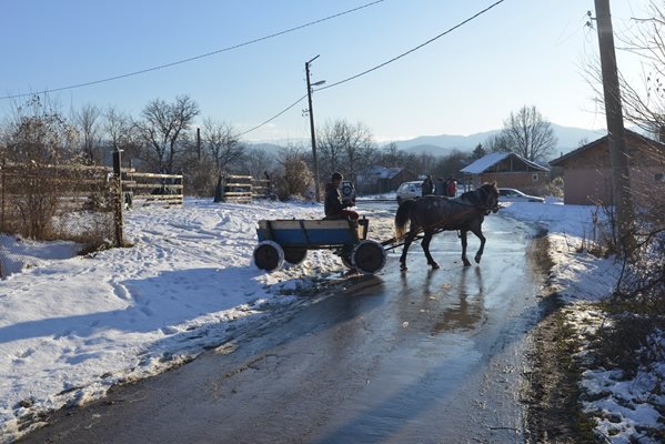 Малкият Тони обича да храни коня Хари. За животното се грижи чичото на момченцето.