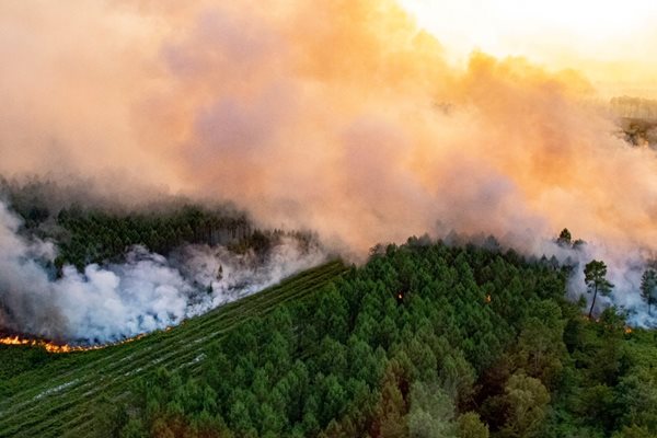 Бушуващ пожар в близост до френското село Ландирас.
СНИМКИ: РОЙТЕРС