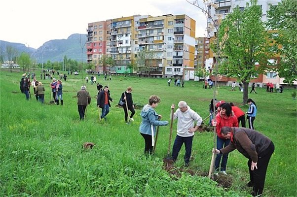 Над 80 души се включиха на вчерашния Ден на земята в акцията "Да засадим дърво" и край врачанския кв. Дъбника изникна горичката на "24 часа", за която жителите на квартала обещаха да се грижат.
Снимка: Валери Ведов

