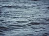 16-годишно момче от Ямбол се удави в река Тунджа